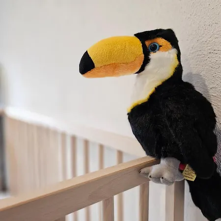 Birdhouse - Big Living For 12 With Two Terraces, Bbqs, Kicker, Fitness * Marburg