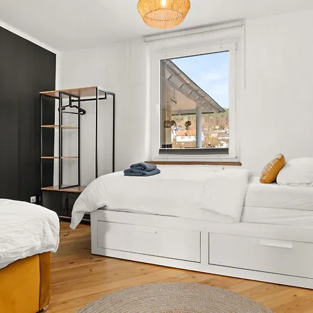 Hébergement de vacances Birdhouse - Big Living For 12 With Two Terraces, Bbqs, Kicker, Fitness Marburg