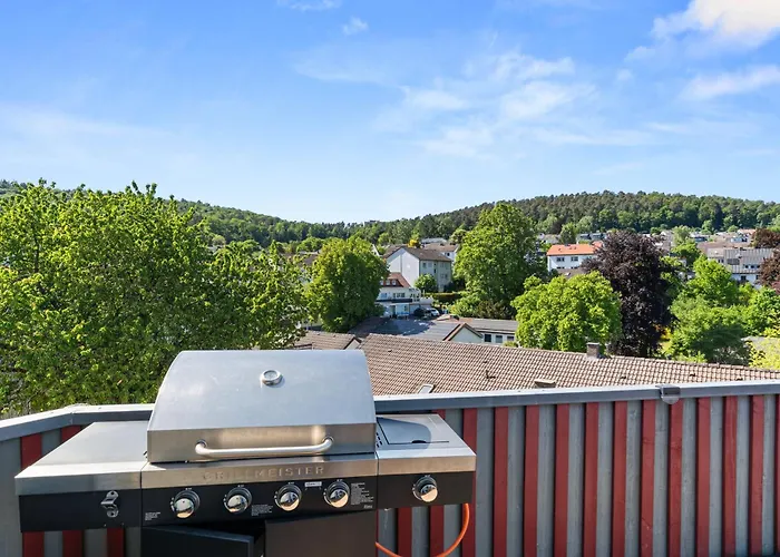 Birdhouse - Big Living For 12 With Two Terraces, Bbqs, Kicker, Fitness Marburg